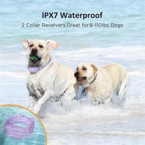 img 1 attached to 🐶 Rechargeable Waterproof Dog Training Collar - PATPET, Suitable for Medium to Large Dogs (8-110 lbs), includes 2 Packs