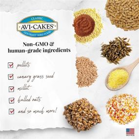 img 1 attached to Классические Avi-Cakes от LAFEBER'S: корм для домашних попугаев, не содержащий ГМО и соответствующий пищевому стандарту для людей