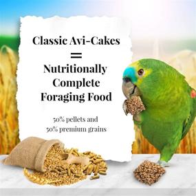 img 3 attached to Классические Avi-Cakes от LAFEBER'S: корм для домашних попугаев, не содержащий ГМО и соответствующий пищевому стандарту для людей