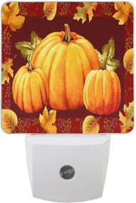 img 3 attached to 🎃 Enhance Your Thanksgiving Décor with Pfrewn Set of 2 Pumpkin Night Lights