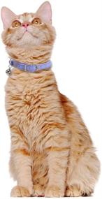 img 1 attached to 🐱 Lamphyface Leather Cat Collar: Safe and Stylish Elastic Strap with Bell for Small Pets Cats Kitty