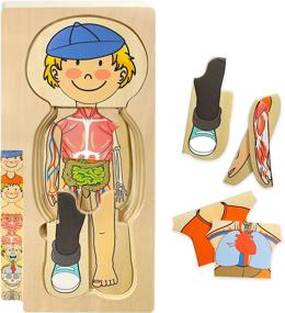 img 2 attached to 🧩 Kidzlane Wooden Body Puzzle for Toddlers - Educational Puzzles for Kids