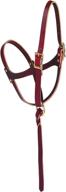 🐎 weaver leather figure-8 foal halter russet: optimal fit and durability in 5/8" size logo