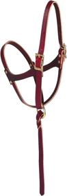 img 1 attached to 🐎 Weaver Leather Figure-8 Foal Halter Russet: Optimal Fit and Durability in 5/8" Size