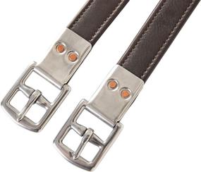 img 1 attached to Huntley Equestrian Sedgwick Leather Leathers