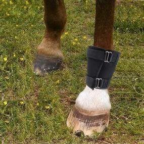 img 1 attached to Coronet Fetlock Neoprene Bedsore Protector