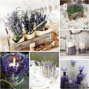 img 3 attached to 🏠 Cedar Space Lavender Dried Flowers: Fragrant Home Decor, Weddings & Events – 2 Bunches, 16 Inches Long