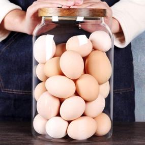 img 4 attached to 🍳 SAIOOL 1 Gallon Large Glass Food Storage Jars with Airtight Lid - Egg Jar Canister, Clear