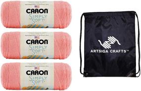 img 2 attached to 🍓 Caron Simply Soft Collection Strawberry 3-Skein Factory Pack (Same Dyelot) H97COL-15 Bundle with 1 Artsiga Crafts Project Bag - Knitting Yarn