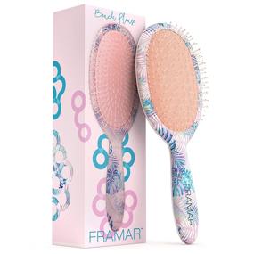 img 4 attached to 🔍 Расческа Framar Wet Detangler - Расчески для волос, Влажная сухая расческа, Женская расческа для волос, Расческа для кучерявых волос, Расческа от запутывания для детей.