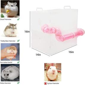 img 3 attached to Transparent Multilevel Hamster Cage - Ideal for Hamsters, Gerbils - Includes Free Bedding, Colorful Villa, Swing, Water Bottle, Exercise Wheel, Food Dish