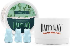 img 4 attached to Happy Wax - Aromatherapy Wax Melts To Help You Focus With Rosemary And Peppermint Scented Soy Wax Melts - Aromatherapy Wax Melts Perfect For Mixing Melts (Focus)