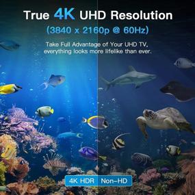 img 2 attached to 6.6ft 4K HDMI кабель, Onvian Высокоскоростной кабель HDMI 2.0, поддерживает 4K@60Hz, HDCP 2.2, 1080p, Ethernet, ARC, 3D, HDMI кабель совместим с PS5, PS3, PS4, ПК, проектор, 4K UHD телевизор/телевизор высокой четкости, Xbox - Улучшенный SEO