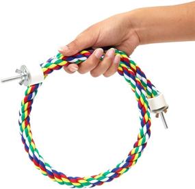 img 2 attached to 🦜 Zodaca Colorful Bird Rope Perch: A Fun and Durable Toy for Parrots - 2 Pack of 35 Inch Perches for Playing, Chewing, and Preening