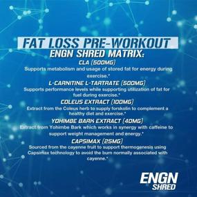 img 2 attached to Evlution Nutrition ENGN Shred Pre Workout Powder: Unleash Energy in 30 Servings with Blue Raz Flavor!