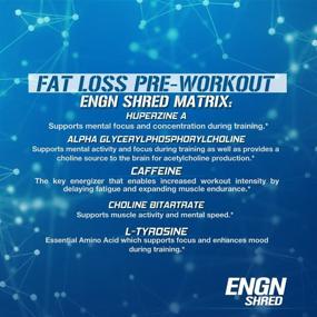 img 1 attached to Evlution Nutrition ENGN Shred Pre Workout Powder: Unleash Energy in 30 Servings with Blue Raz Flavor!