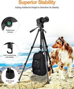 img 1 attached to 📷 Portable Camera Tripod - 58 inch Lightweight Aluminum Travel Tripod for iPhone/Phone/Nikon/DSLR/Sony/Canon - GooFoto 6.6lb/3KG Load with Carry Bag & Phone Clip