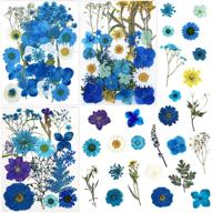 🌸 dried pressed real natural blue flowers leaves petals for diy resin molds, candle jewelry, and nail crafts - lucisky logo