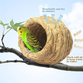 img 1 attached to 🐦 Hamiledyi Birdcage Straw Simulation Birdhouse – Natural Fiber Nest for Resting, Breeding & Hiding from Predators – Ideal for Finches & Canaries (2 Pcs)