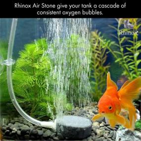 img 2 attached to 🐠 Hydroponic/Fish Tank Aerator Bubbler Kit with 1.6" Air Stone, 4 Suction Cups, 6.5ft Silicone Pipe, and inconspicuous White Hose