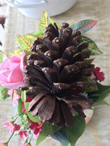 img 1 attached to 🌲 Tall Bulk Package of 12 All-Natural Real Preserved Pine Cones - Ideal Pinecones for Christmas Decor, Hanging Ornaments, Bowl & Vase Fillers - Size Range: 4.3-5.9 inches