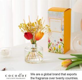 img 1 attached to 🌸 Cocodor Tulip & Preserved Real Flower Reed Diffuser for Home & Office Decor - Mango Jasmine Fragrance - 6.7oz(200ml) - Birthday & Wedding Gift - Aromatherapy Oil Gift Set