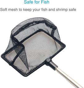 img 1 attached to 🐠 Pawfly 3.8 Inch Telescopic Aquarium Net: Versatile Fine Mesh Small Fishnet with Adjustable Extendable 9-24 inch Long Handle