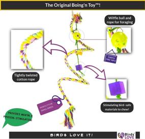 img 3 attached to 🦜 Colorful Bungee Rope Bird Toy - Perfect for Keets, Tiels, Quakers, Conures, African Greys, Amazons, Cockatoos, Macaws & All Sized Birds - Choose the Right Size!