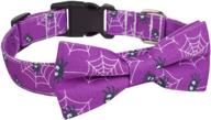 🎃 halloween dog collar with bowtie: spooky pumpkin accessory for small, medium, and large dogs logo