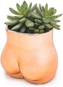 img 4 attached to 🌸 Lady Bottom Body Vase for Plants and Flowers - Female Form Plant Pot, Indoor & Outdoor, Modern Boho Home Decor Accent - Rose Gold, Bottom