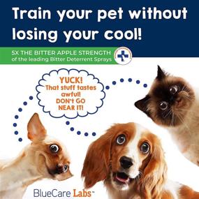 img 2 attached to 🐶 BLUECARE LABS Bitter Apple Spray for Dogs - Natural Anti-Chew Deterrent to Stop Chewing on Furniture, Carpet, and Hotspots - Pet Corrector Spray for Dog Training - Safe Alcohol-Free & Non-Toxic - 8oz