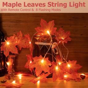 img 3 attached to 🍁 Fall Decor Maple Leaves String Lights: 20LED 6.6FT Battery Powered with Remote Control – Ideal for Indoor & Outdoor Halloween and Thanksgiving Party Décor