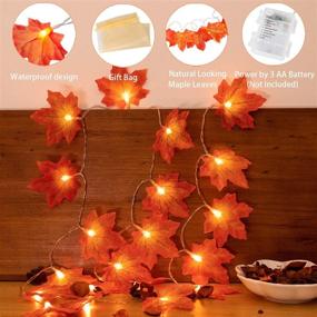 img 2 attached to 🍁 Fall Decor Maple Leaves String Lights: 20LED 6.6FT Battery Powered with Remote Control – Ideal for Indoor & Outdoor Halloween and Thanksgiving Party Décor