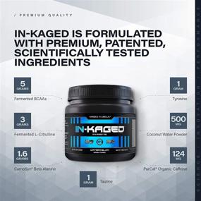 img 1 attached to 🍒 Intra Workout BCAA Powder – Kaged Muscle IN-KAGED: Boost Performance & Endurance for Weights & Cardio – Amino Energy Drink – Cherry Lemonade Flavor
