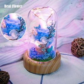 img 3 attached to 🌹 Blue Rose Lamp - SWEETIME Real Preserved Rose in Glass Dome: Forever Flower Night Light with Bluetooth Speaker – a Timeless Gift for Her on Mother's Day, Birthday, or Valentine's Day