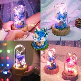 img 1 attached to 🌹 Blue Rose Lamp - SWEETIME Real Preserved Rose in Glass Dome: Forever Flower Night Light with Bluetooth Speaker – a Timeless Gift for Her on Mother's Day, Birthday, or Valentine's Day