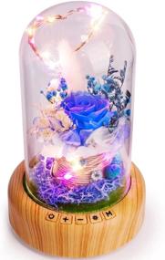 img 4 attached to 🌹 Blue Rose Lamp - SWEETIME Real Preserved Rose in Glass Dome: Forever Flower Night Light with Bluetooth Speaker – a Timeless Gift for Her on Mother's Day, Birthday, or Valentine's Day