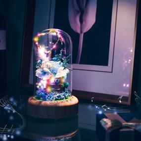 img 2 attached to 🌹 Blue Rose Lamp - SWEETIME Real Preserved Rose in Glass Dome: Forever Flower Night Light with Bluetooth Speaker – a Timeless Gift for Her on Mother's Day, Birthday, or Valentine's Day