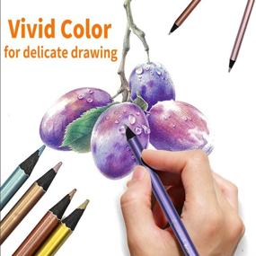 img 3 attached to 🖍️ Premium 12-Count Metallic Colored Pencil Set: Assorted Colors, Black Wood Drawing Pencils – Ideal for Kids, Artists, Beginners, Coloring Books, Art Crafts (Non-Toxic)