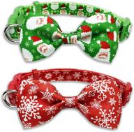 christmas collar holiday snowflake puppies logo