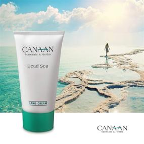 img 3 attached to 💦 CANAAN Minerals &amp; Herbs Dry Hand Repair Cream - Dead Sea Hand Cream, Intense Hydration For Dry Hands And Cracked Skin, 4.25 fl. oz / 125ml