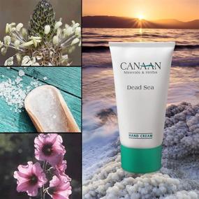 img 1 attached to 💦 CANAAN Minerals &amp; Herbs Dry Hand Repair Cream - Dead Sea Hand Cream, Intense Hydration For Dry Hands And Cracked Skin, 4.25 fl. oz / 125ml