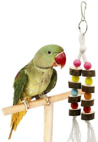 img 1 attached to 🦜 ZYP Camphor Wood Parrot Hammock Swing with Bell - Natural Bird Chewing Cage Toys for Parakeets, Cockatiels, Conures, Finches, Budgie, Macaws