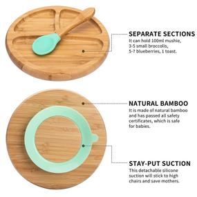 img 2 attached to 🍽️ BPA Free Toddler Feeding Set: Baby Bamboo Suction Plate, Bowl, and Spoon - Non-Slip Silicone Suction for High Chairs - Wooden Set for 1-3 Year Old - Silicone Spoon Tip with Wood Handle