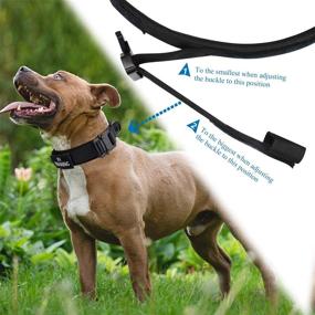 img 2 attached to 🐕 SALFSE Tactical Dog Collar: Adjustable Military Outdoor Training Collar with Control Handle and Heavy Duty Metal Buckle