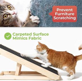 img 2 attached to 🐾 Alpha Paw ScratchyRamp: 2-in-1 Cat Ramp & Scratcher for House Cats & Indoor Dogs - Adjustable Height & Replaceable Carpet