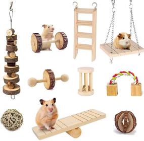 img 4 attached to 🐹 Suwikeke 10 PCS Hamster Chew Toys : Natural Wooden Dumbbells, Exercise Bells, Rollers - Chewing, Playing & Teeth Care for Small Pets (Chinchillas, Guinea Pigs, Gerbils, Bunnies, Rats)