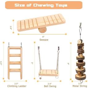 img 2 attached to 🐹 Suwikeke 10 PCS Hamster Chew Toys : Natural Wooden Dumbbells, Exercise Bells, Rollers - Chewing, Playing & Teeth Care for Small Pets (Chinchillas, Guinea Pigs, Gerbils, Bunnies, Rats)