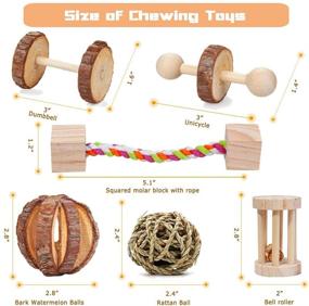 img 3 attached to 🐹 Suwikeke 10 PCS Hamster Chew Toys : Natural Wooden Dumbbells, Exercise Bells, Rollers - Chewing, Playing & Teeth Care for Small Pets (Chinchillas, Guinea Pigs, Gerbils, Bunnies, Rats)