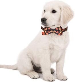 img 3 attached to 🐶 Halloween Dog Collars: Spooky Pumpkin Ghost Design with Bow Tie and Bells by KUDES - 2 Pack/Set for Small/Medium/Large Pets